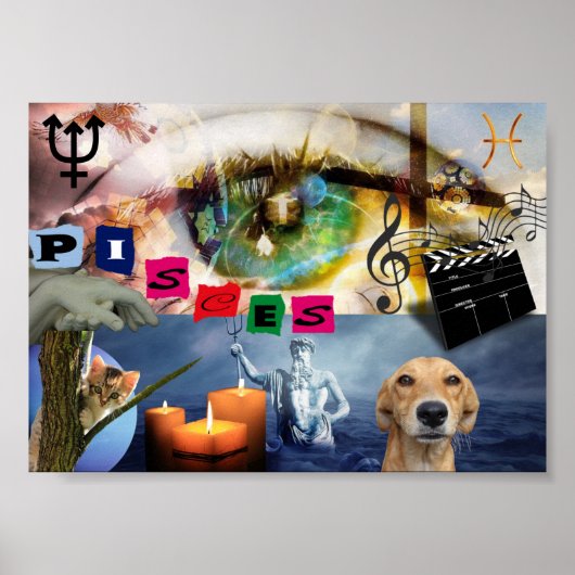 ポスターアパイサドレジガロシグノゾディアコピシス ポスター (正面)