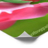 ポスターアートかわいいラディバグとスナップドラゴン ポスター (角)