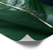 ポスターアートヒョウ ポスター (角)