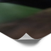 ポスターアートブラックヒョウ ポスター (角)