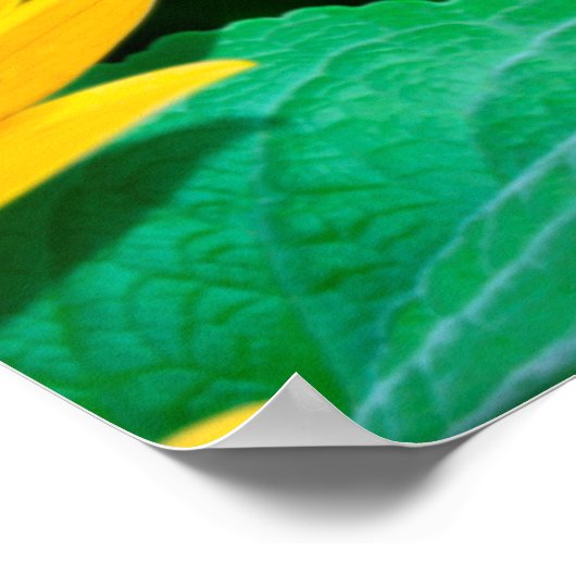 ポスターアート眠いレディバグとヒマワリ ポスター (角)