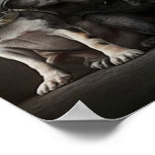 ポスターアート軍隊犬 ポスター (角)