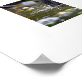 ポスターイエローストーンベアキュブ ポスター (角)