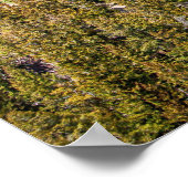 ポスターイエローストーンリバーキャニオン ポスター (角)