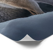 ポスターイエローストーン・ウルフ ポスター (角)