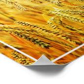 ポスターウィート ポスター (角)