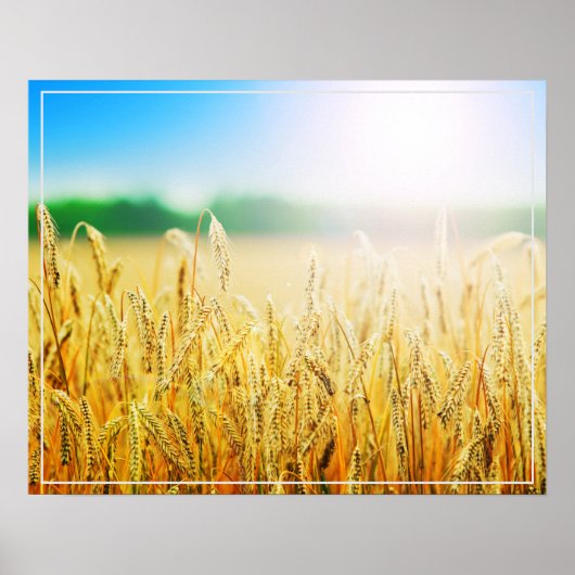 ポスターウィート ポスター (正面)