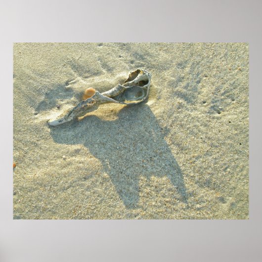 ポスターウェーブウォッシュシェル ポスター (正面)