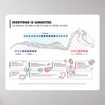 ポスターウマ科の