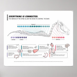 ポスターウマ科の ポスター