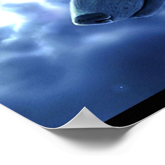 ポスターウルフ ポスター (角)