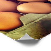 ポスターエッグピラミッ賛美ド ポスター (角)