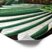 ポスターエルンストHaeckel Trochilidae Hummingbird ポスター (角)