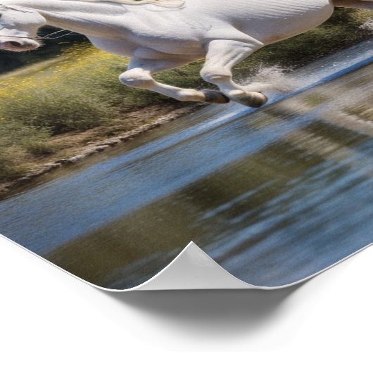 ポスタークール ポスター (角)