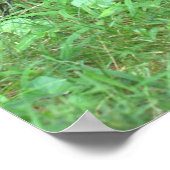 ポスターサイクリックスピンクの花かご ポスター (角)