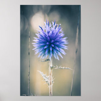 ポスターシャルドン・ブルー ポスター