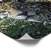 ポスタージャグカスタマイズ-  ポスター (角)