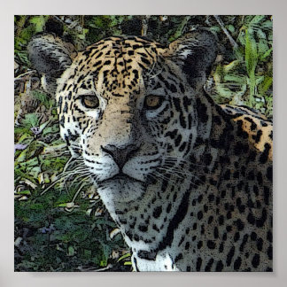 ポスタージャグカスタマイズ-  ポスター