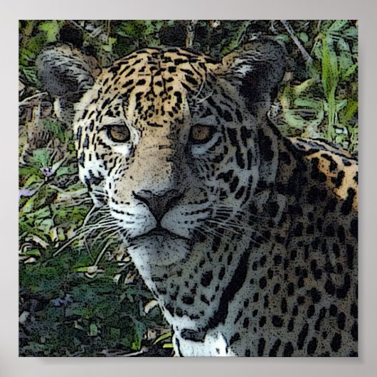 ポスタージャグカスタマイズ-  ポスター (正面)