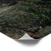 ポスタージャンパーズレインボーベイオーストラリア ポスター (角)