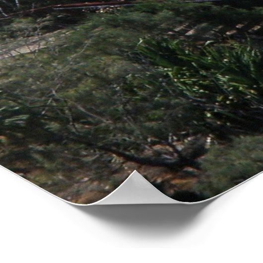 ポスタージャンパーズレインボーベイオーストラリア ポスター (角)