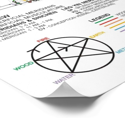 ポスタースケマティク中国のム経絡の筋肉組織 ポスター (角)