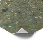 ポスターストランドクラゲ ポスター (角)