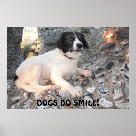 ポスタースプラリーが城内を微笑みながら訪れる ポスター (正面)