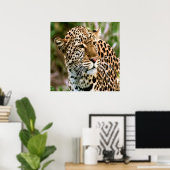 ポスタースポッテッドヒョウ ポスター (ホームオフィス)