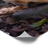 ポスタータイガー ポスター (角)