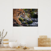 ポスタータイガー ポスター (キッチン)