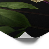 ポスターダリア花 ポスター (角)