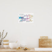 ポスターチャートUSAアメリカ刑事司法制度 ポスター (キッチン)