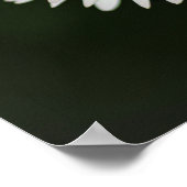 ポスターデイジー花自然写真 ポスター (角)
