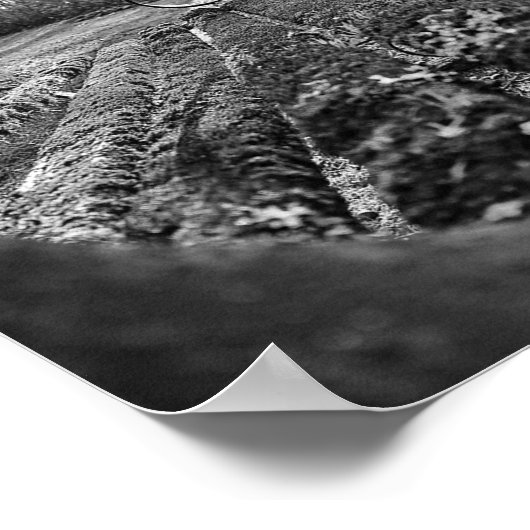 ポスターデジタルダウンロード |ウォールアート | アーバンフォト ポスター (角)