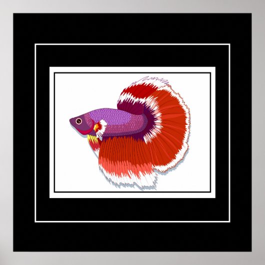 ポスタートロピカル魚 ポスター (正面)