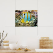 ポスタートロピカル魚 ポスター (キッチン)