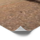 ポスタードイツの羊飼い ポスター (角)