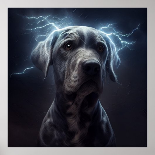 ポスタードッグ ポスター (正面)