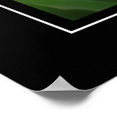 ポスターピンクのチューリップ ポスター (角)