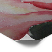 ポスターピンクローズ ポスター (角)