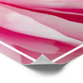 ポスターピーニーの花 ポスター (角)