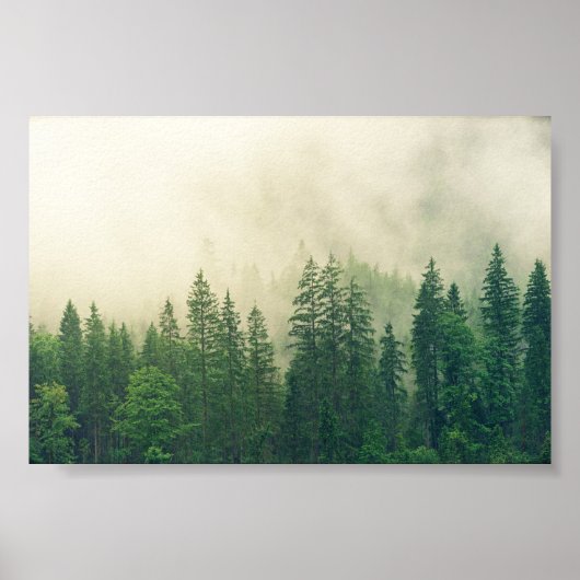 ポスターフォレスト ポスター (正面)