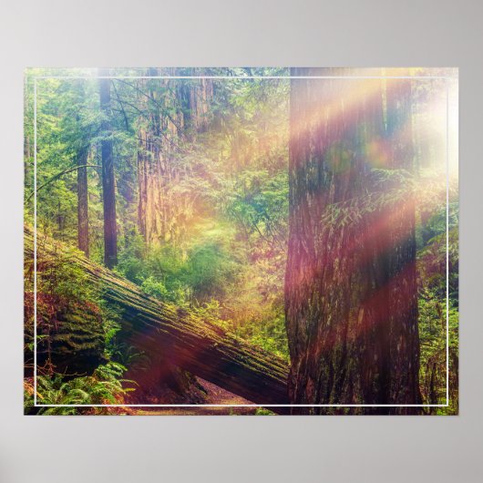 ポスターフォレスト ポスター (正面)