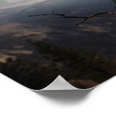 ポスターフクロウ ポスター (角)