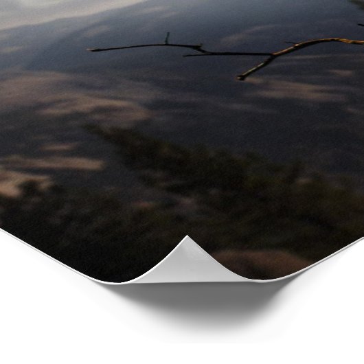 ポスターフクロウ ポスター (角)