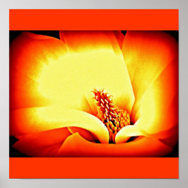 ポスターフラワー色彩の鮮やかズフラワー9 ポスター