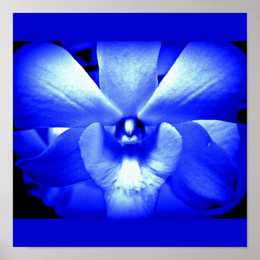 ポスターフラワー色彩の鮮やかズ – 花13 ポスター (正面)