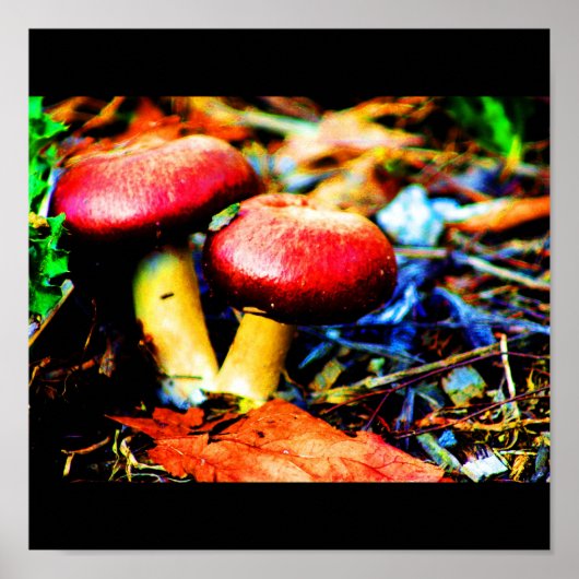 ポスターフード/ドリンク–18 ポスター (正面)