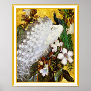 ポスタープリント: 白くおよび青の孔雀 ポスター